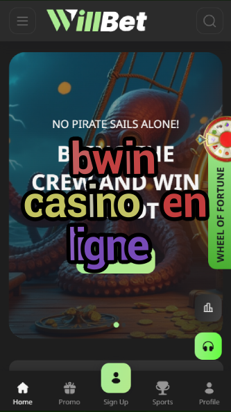 bwin casino en ligne-asdasdzhjkds.com