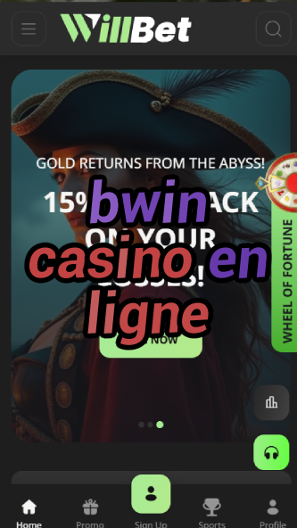 bwin casino en ligne-asdasdzhjkds.com