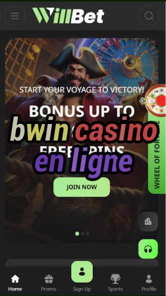 bwin casino en ligne-asdasdzhjkds.com